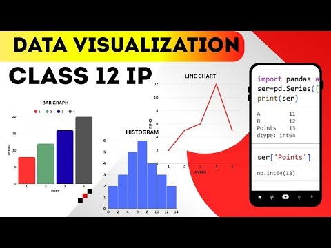 Data Visualization : Line Chart , Bar Chart and Customization | Class 12 IP