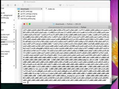 How to Download a File with Python