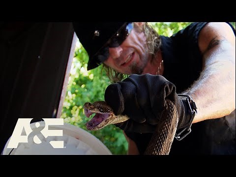 Billy the Exterminator: Billy's Barely Alive After Battle with BIG Rattlesnake | A&E