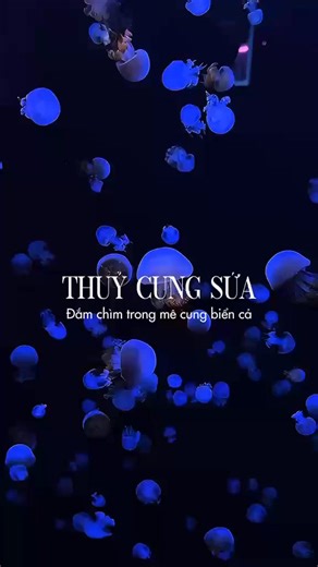 Alien Coffee on Reels