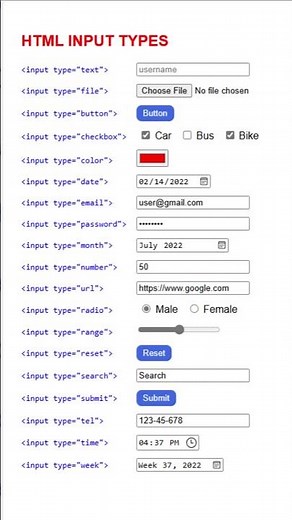 Complete Guide to HTML Input Types with Examples | Learn HTML Forms