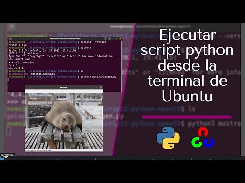 How to run a Python .py script in the Ubuntu terminal