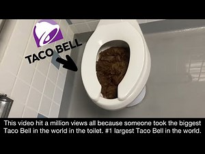 A Video of Paper Towels Some Kids Stuffed Down the Toilet Full Shoot!