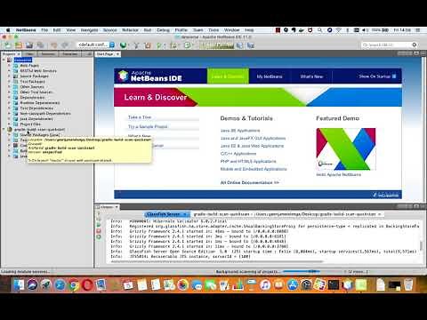The Rough Guide to Apache NetBeans 11.0