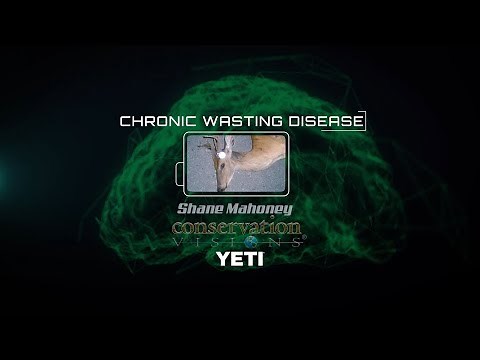 Chronic Wasting Disease