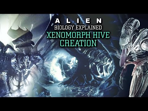 How do the Xenomorphs Create their Hives? (Hive Mind) - Alien Biology Explained