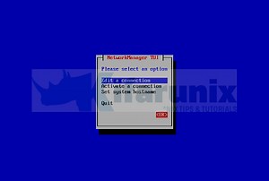 Create Virtual/Secondary IP addresses on an Interface in Linux - kifarunix.com