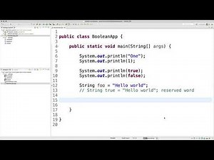 JAVA Control Statements - 2. Boolean Datatype