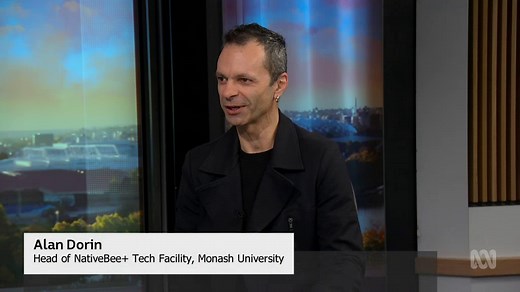 Here are five quick facts about Australian native bees and how you can help on World Bee Day