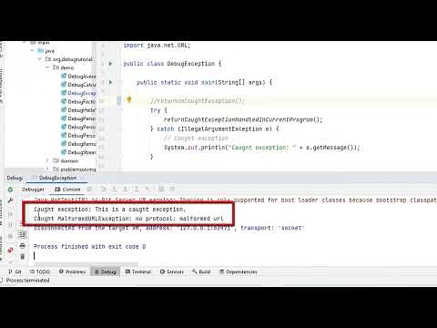 Debugging Java Like a Pro: Exception Breakpoints in IntelliJ IDEA