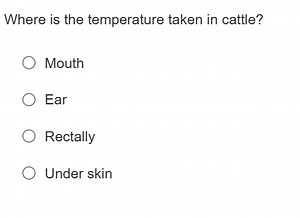 Where is the temperature taken in cattle?MouthEarRectallyUn... | Filo