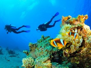 Components of Earth's atmosphere and Importance of them | Science online