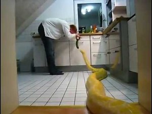 Helping In The Kitchen