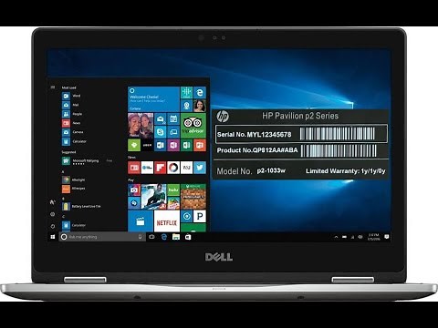 Find Computer Serial Number | No software