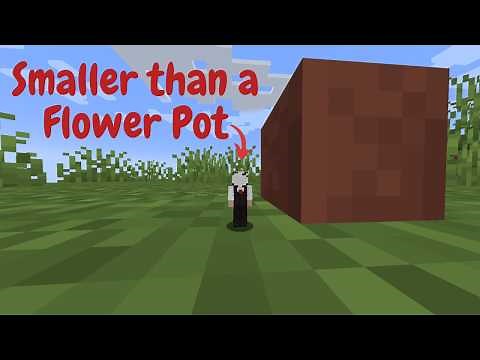 How To Shrink Down to SIZE in MINECRAFT Without Mods!