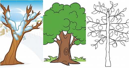 40 Easy Tree Drawing Ideas - How To Draw A Tree