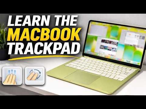 How to Use the MacBook Neo Trackpad (Gestures & Settings)