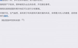 Python基于机器学习的花卉识别系统的设计与实现