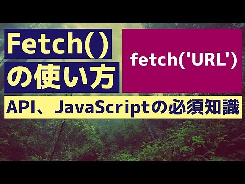 【JavaScriptの基本】Fetchの使い方 API入門