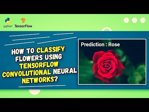 TensorFlow CNN Tutorial: Flower Classification with Python
