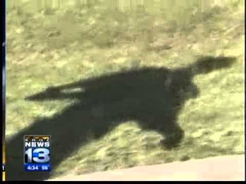 Roswell Crash Sites Exposed