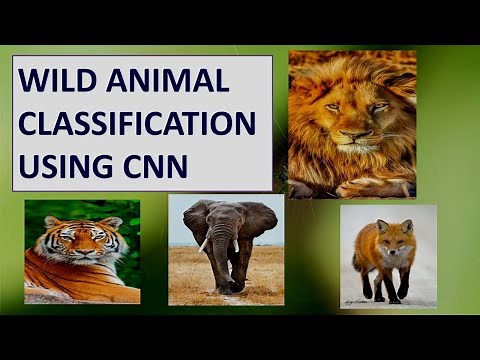 Wild Animal Detection Using CNN | Deep Learning | Python | DHS