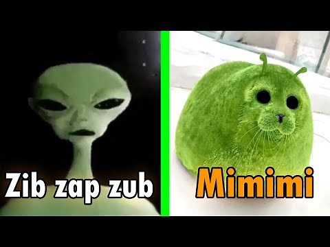 Alien Speaking Meme VS Alien Seal Meme | Alien speaking Meme Zip Zap Zop / Alien Seal
