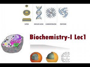Lecture 1: Introduction to Biochemistry