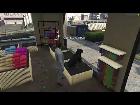 cDev Pet Shop FiveM Setup - Instructional Video