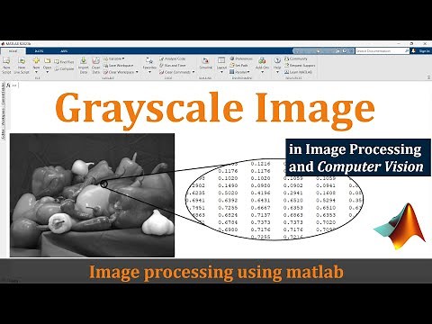 Grayscale image in digital image processing | Grayscale image in matlab