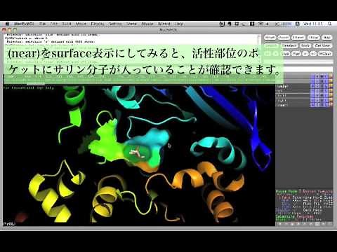 PyMOLを使い倒す