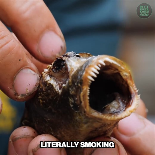 Catching and Eating Asia’s Alien Fish Predator! 😳 | Best Ever Food Review Show