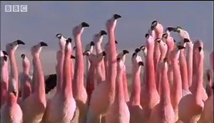 Using The HTML Tag To Create Inline Frames: Here's How »