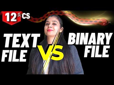 Difference Between Text File and Binary File | Class 12 CS