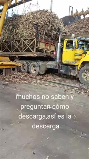 Cómo realizar la descarga fácilmente