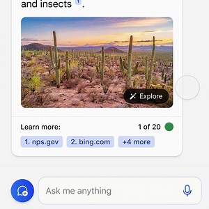 Bing is taking searching to the next level. Visualize your searches now. | Bing
