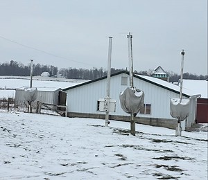 It's a cold, gray, drab kind of a day near Maysville Ohio. The first little box of a building is an Amish ice house.The more conservative Amish affiliations still make their own ice or cut it out of a pond. The next couple months is prime ice time. The temperature needs to get and stay cold enough to get 6 or more inches of ice blocks. If you don't have a pond you erect a wooden framework with a liner, fill it with water, wait for it to freeze, cut it with a chainsaw, and stash it in the ice hou