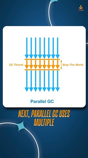 Java Developers Must Know These Garbage Collectors 🔥#java #javaprogramming #javadeveloper #shorts