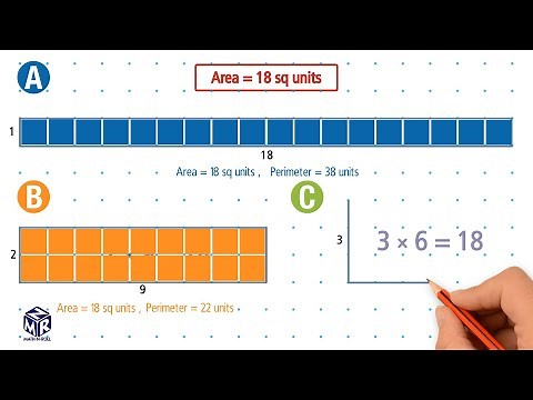 Same Area, Different Perimeters. Grade 3