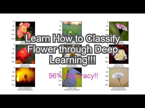 Tutorial 10: Flower Classification with Deep Neural Network with Tensorflow and Python Programming.