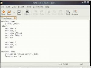 Assembly Language Tutorial #8 Instruction