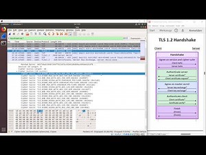 TLS Essentials 12: TLS 1.2 Wireshark analysis