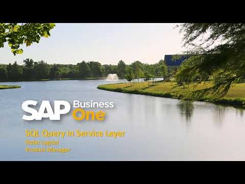 How to Create and Run Microsoft SQL Queries via the SAP Business One Service Layer