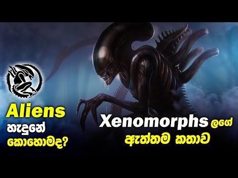 කවුරුත් නොකියූ Xenomorphsලගේ හැමදේම හරිම පිලිවෙලට! | Alien (Xenomorph) Explained Sinhala Review