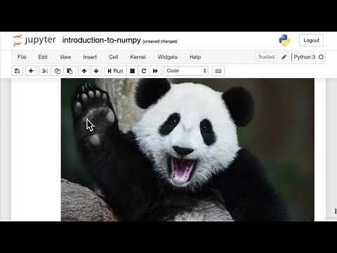 072 Turn Images Into NumPy Arrays