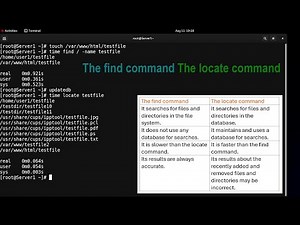 The find command | The locate command | How to search files and directories on Linux