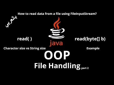 #068 [JAVA] - File Handling ( FileInputStream class, Character size vs String size )