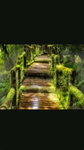 Responsive Image Slider HTML CSS | Simple Slideshow