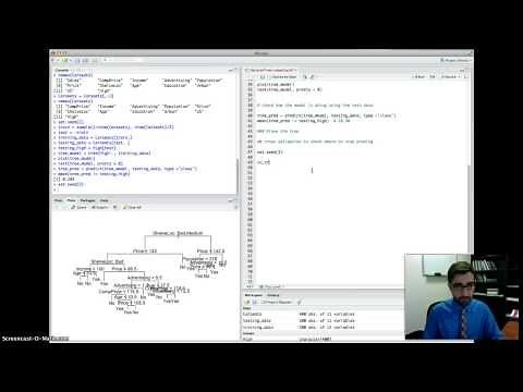 DSO 530: Decision Trees in R (Classification)
