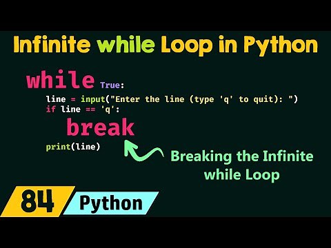 The Infinite while Loop in Python